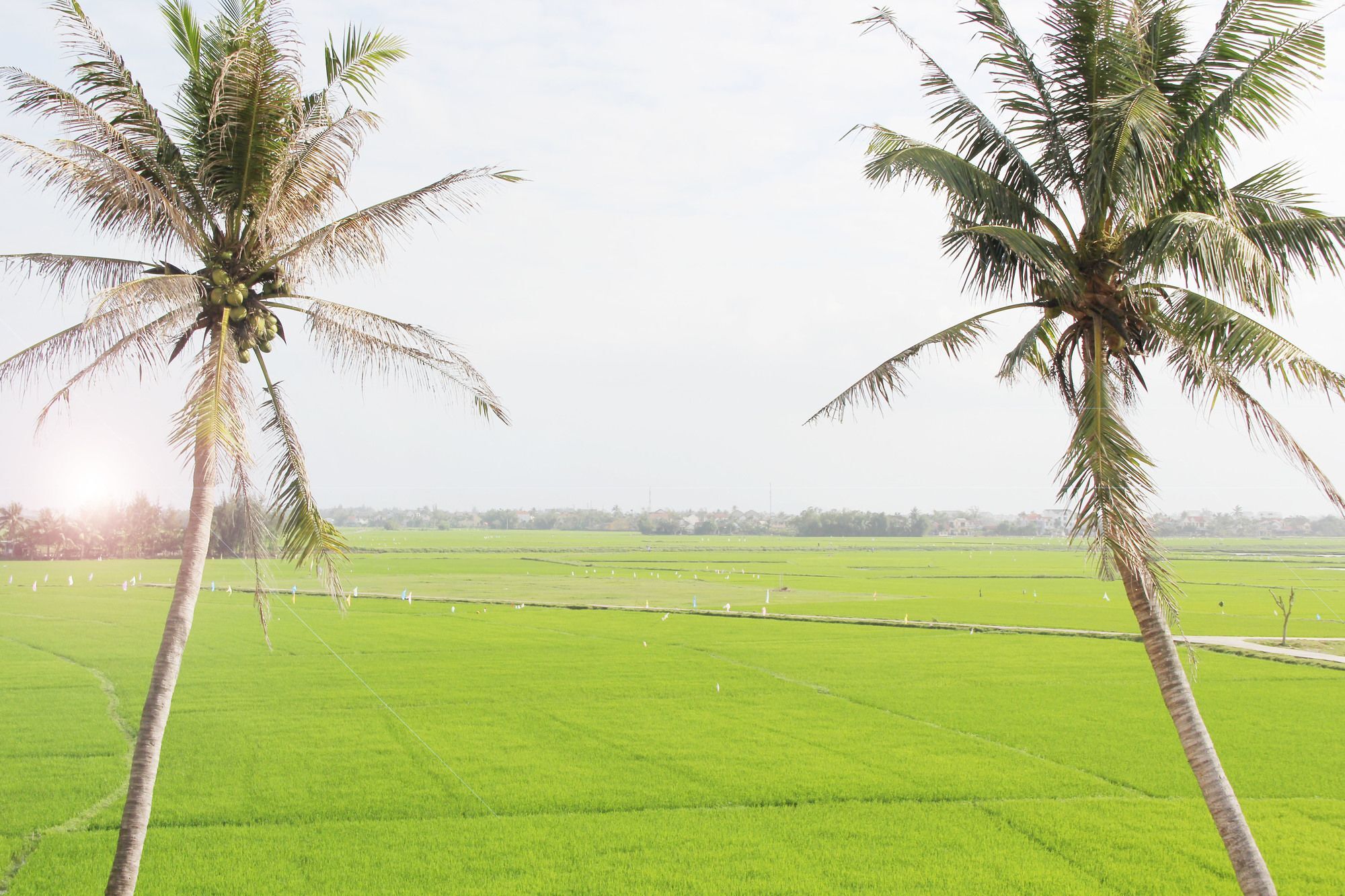 Hoi An Four Season Villa Екстериор снимка